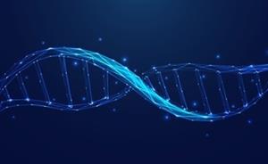 The Global Nanomedicine Market: Key Players and Emerging Technologies in Healthcare