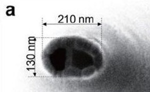 AZO Nano