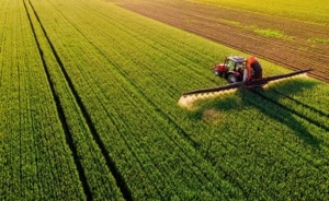 How Will Nanotech Solve Agriculture’s Pest Problems? AZO Nano