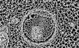 What is Transmission Electron Microscopy and How is it Used in Nano? AZO Nano