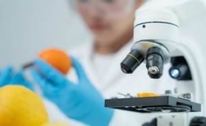 How Can Nanostructures Influence Food Safety?