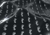 Genetic algorithm enables precise design of phononic crystals