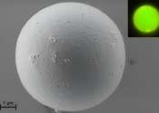 Organic polymer blend microspheres exhibit ultra-low threshold lasing with highest reported quality factor