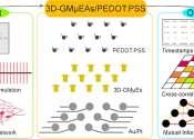 Innovative 3D gold microelectrode arrays enhance understanding of neuronal network communication