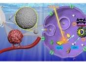 Iron-doped carbon-based nanoparticles boost cancer treatment with enhanced precision and safety