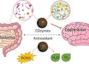 Antioxidant carbon dot nanozymes alleviate depression in rats by restoring the gut microbiome