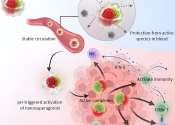 Polymeric cloak stabilizes cytokine complex to generate tumor-targeted nanosuperagonist