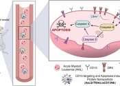 Nanoparticle technology demonstrates selective destruction of leukemia cancer cells