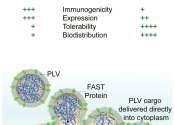 Phys.Org