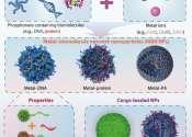 Nano drug delivery system eliminates need for complicat ...