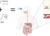 A sip instead of a shot: Breast milk nanoparticle permeability phenomena discovered