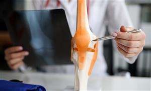 Advancing PVC Gel Artificial Muscles with Carbon Nanotube Electrodes