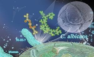 Development of High-Efficiency, Dual-Function Antimicrobial Nanozyme