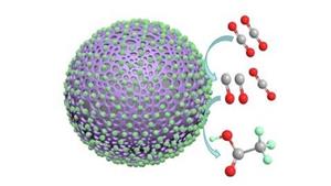 Polyaniline Catalyst Enables Efficient Acetate Production from CO2