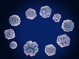 Anticancer Bimetallic Complexes: Synthesis, Characterization, and Cytotoxicity