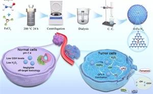 Scientists Introduce Novel Single-Atom Nanozymes