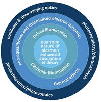 Unraveling the Mysteries of Hot Carriers in Plasmonic Nanostructures