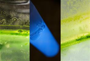Engineering Nanobubbles for Advanced Biomedical Applications