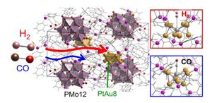 Adsorption Behavior of Hydrogen and CO on Platinum-Gold Nanostructures