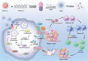 AZO Nano