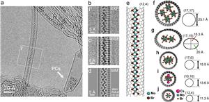 Unveiling the Magnetic Properties of Nanotube-Confined Compounds