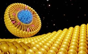 Transient Membrane Modifications from Cationic Fusogenic Liposomes