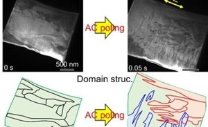 Real-Time Visualization of Crystal Nanostructures Under Electric Fields