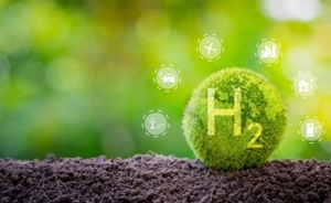 Flexocatalytic Hydrogen Generation and Organic Pollutant Degradation Using Nano SrTiO3