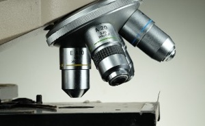 AZO Nano