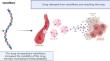 Collagen Nanofiber-Mediated Encapsulation of Gefitinib for Lung Cancer Treatment