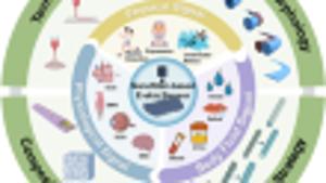 Recent Progress of Electrospun Nanofiber-Based Composite Materials for Monitoring Physical, Physiological, and Body Fluid Signals