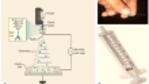 Design and characterization of anti-microbial novel herbal nanofiber scaffolds for the management of periodontal diseases