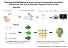 Three-dimensional visualization of nanoplastic distribu ...