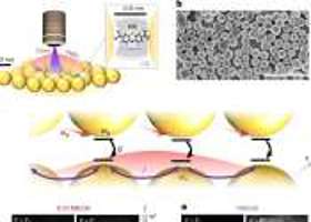 Phys.Org