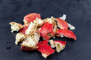 Pomegranate Peel Nanomaterials Give TiO₂ New Control  ...