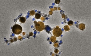 New Versatile Nanoplatelet Platform Optimizes Tumor  ...