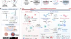 Time-staggered chemo-immunotherapy via engineered nanofiber resists postoperative dynamic immunosuppression in glioblastoma