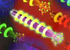 Phys.Org
