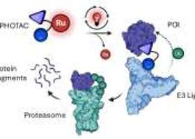 Phys.Org